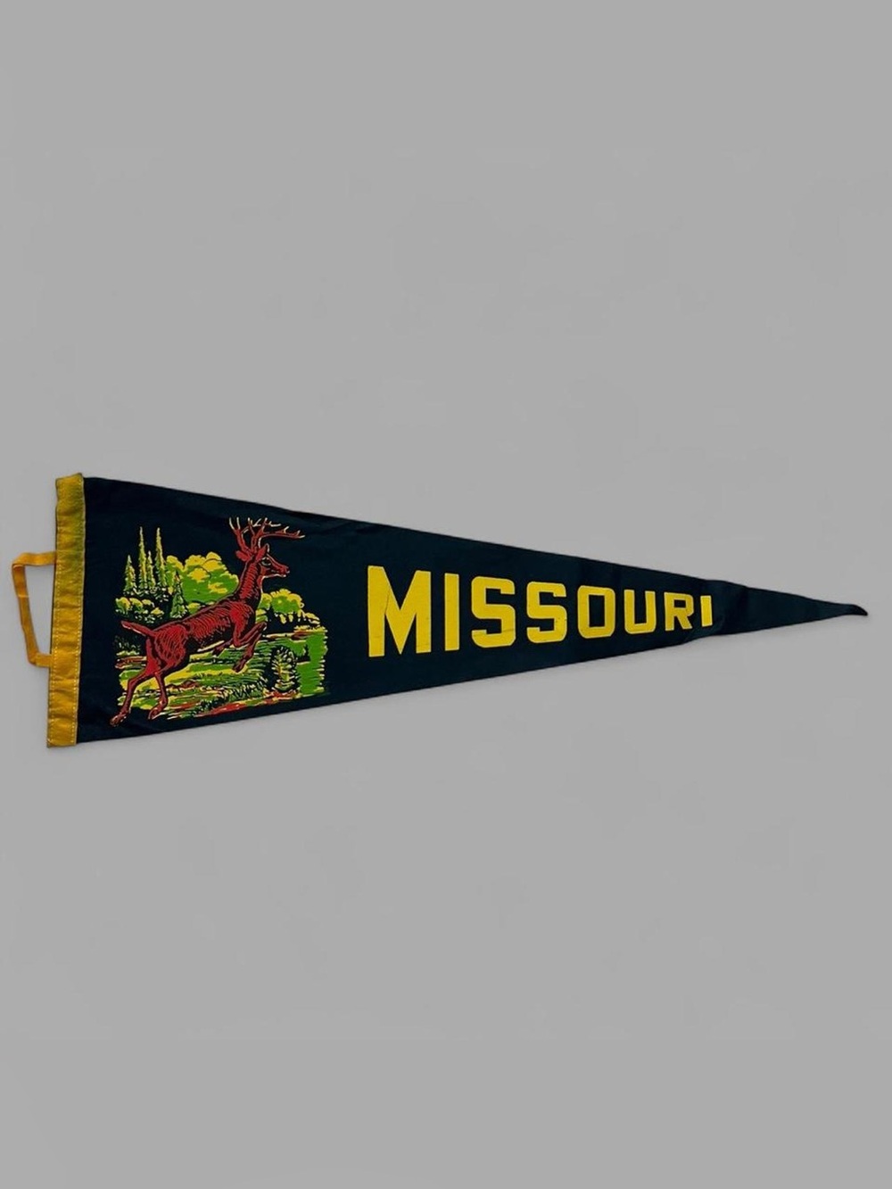 Vintage 60’s Retro Missouri Felt Pennant